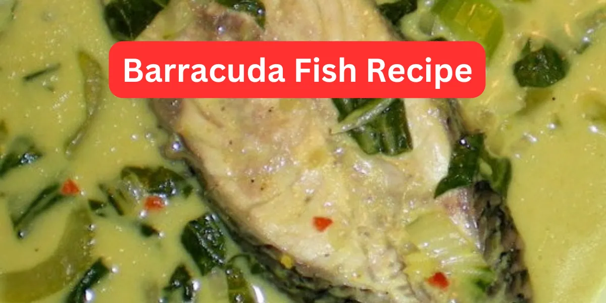 Barracuda Fish Recipe